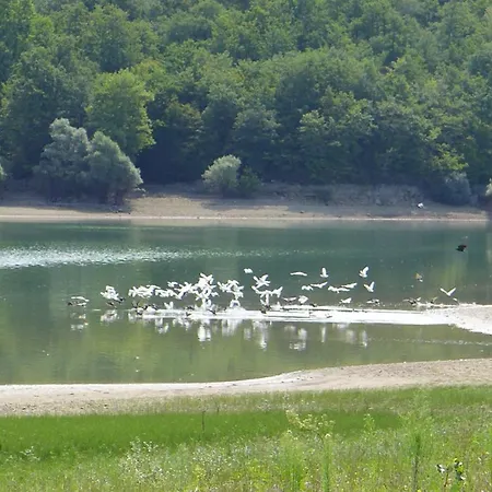 La Maison De Thelma بيت للعطل Bezues-Bajon