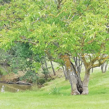 بيت للعطل La Maison De Thelma Bezues-Bajon