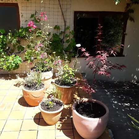 La Maison De Thelma Bezues-Bajon