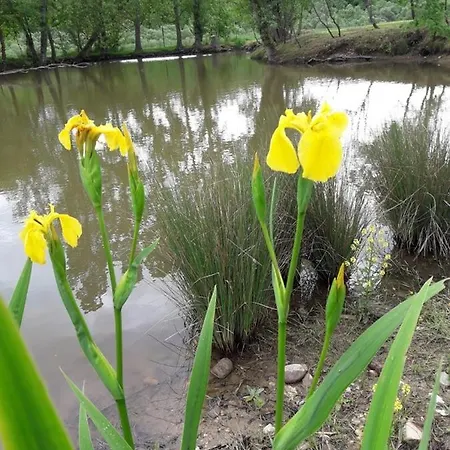 بيت للعطل La Maison De Thelma