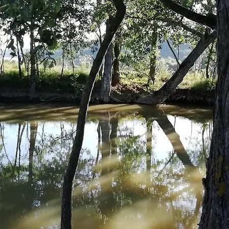 La Maison De Thelma بيت للعطل Bezues-Bajon