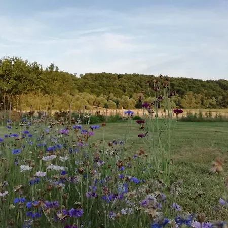 La Maison De Thelma Bezues-Bajon