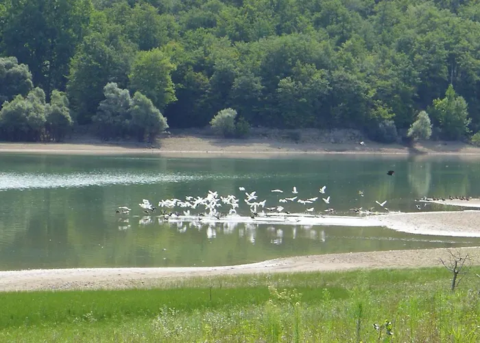 La Maison De Thelma Hébergement de vacances Bezues-Bajon