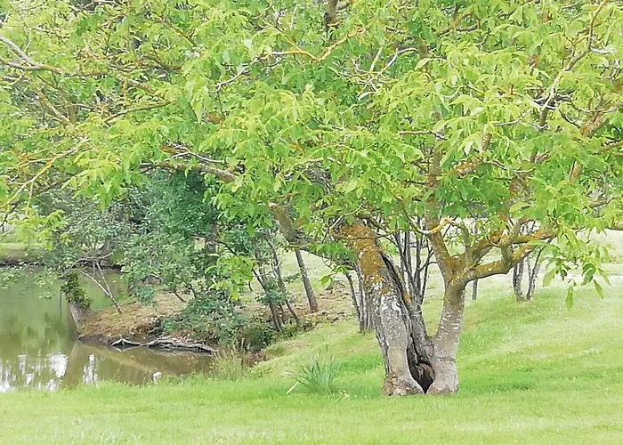 Hébergement de vacances La Maison De Thelma Bezues-Bajon