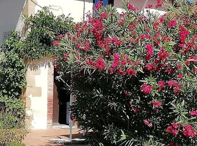 Hébergement de vacances La Maison De Thelma Bezues-Bajon