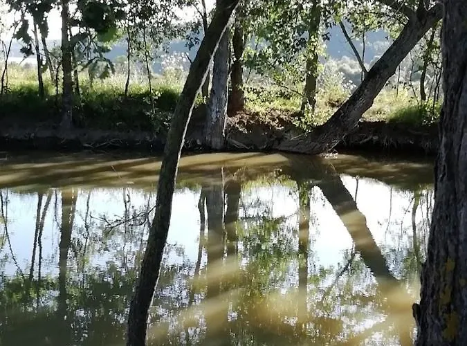 La Maison De Thelma Hébergement de vacances Bezues-Bajon