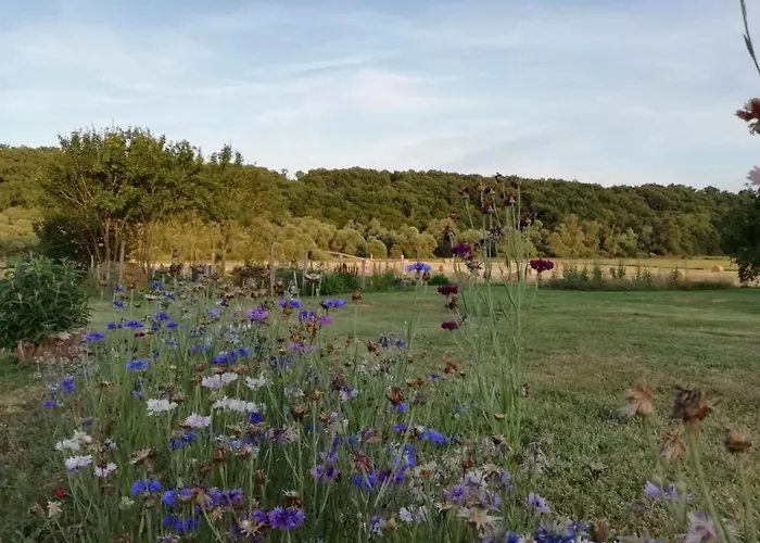 La Maison De Thelma Bezues-Bajon
